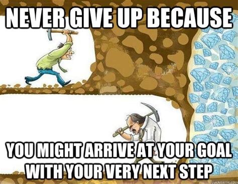 never give up meme.